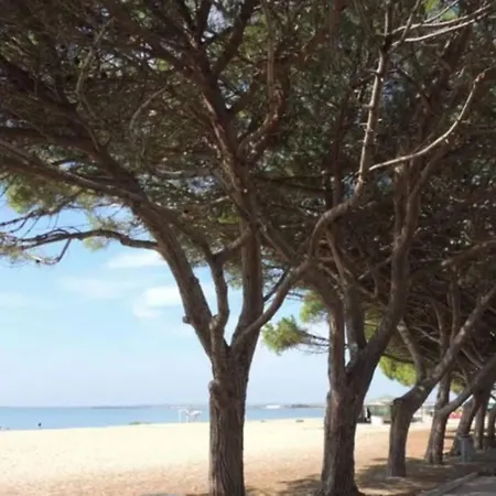 Residenza Bottego Pineta Torre Grande